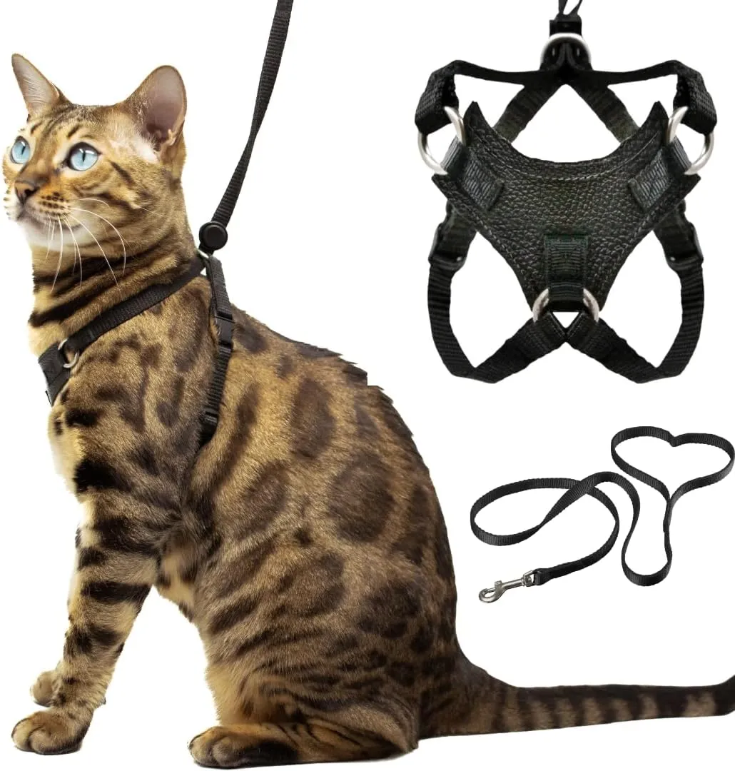 Houdini™ Escape Proof Cat Harness and Leash Set by OutdoorBengal for Walking Cats and Kittens (Vegan Leather, Medium Cat)
