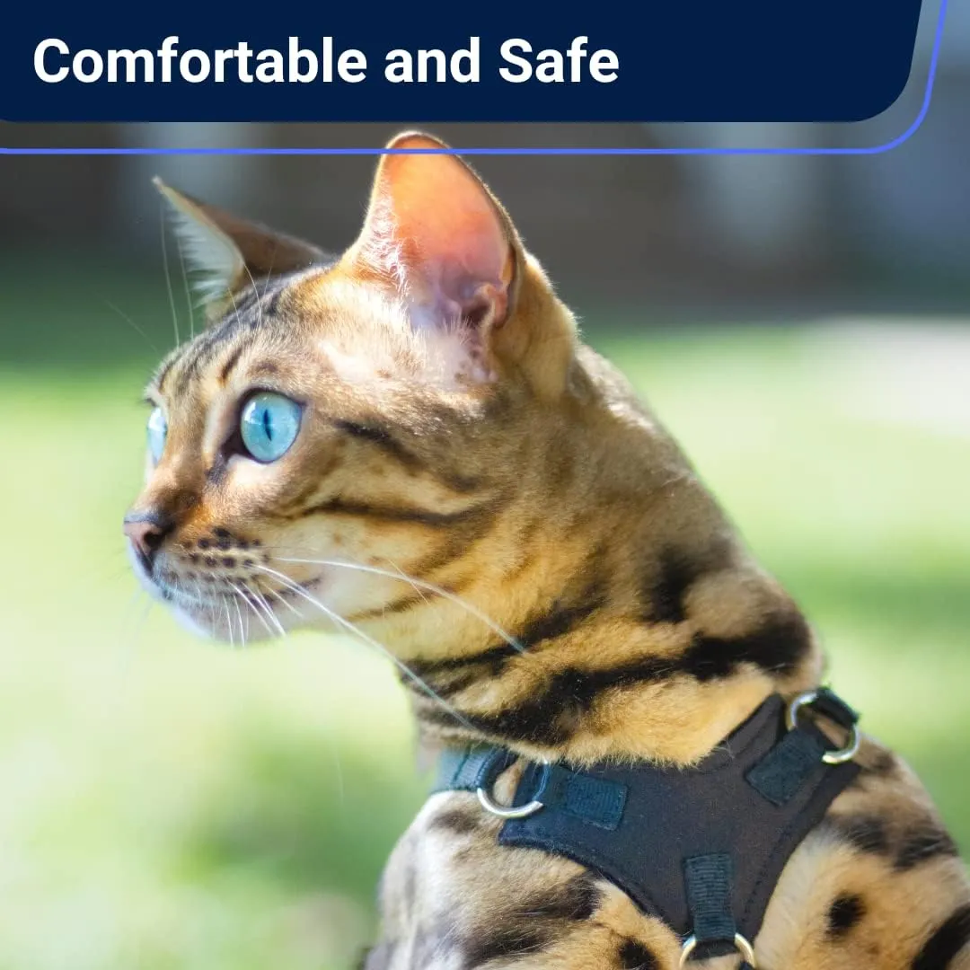 Houdini™ Escape Proof Cat Harness and Leash Set by OutdoorBengal for Walking Cats and Kittens (Vegan Leather, Medium Cat)