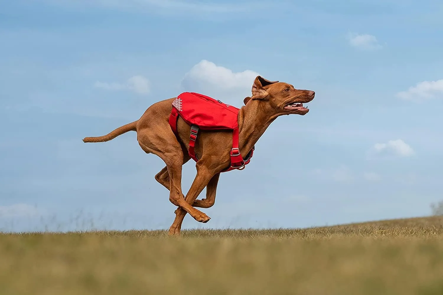 iEnergy™ MIC Dog Harness with Two Side Pockets & Ideal for Short Trips, Breathable, Reflective & Padded Chest Harness Anti-Pull Harness No Pull (Red, Large)