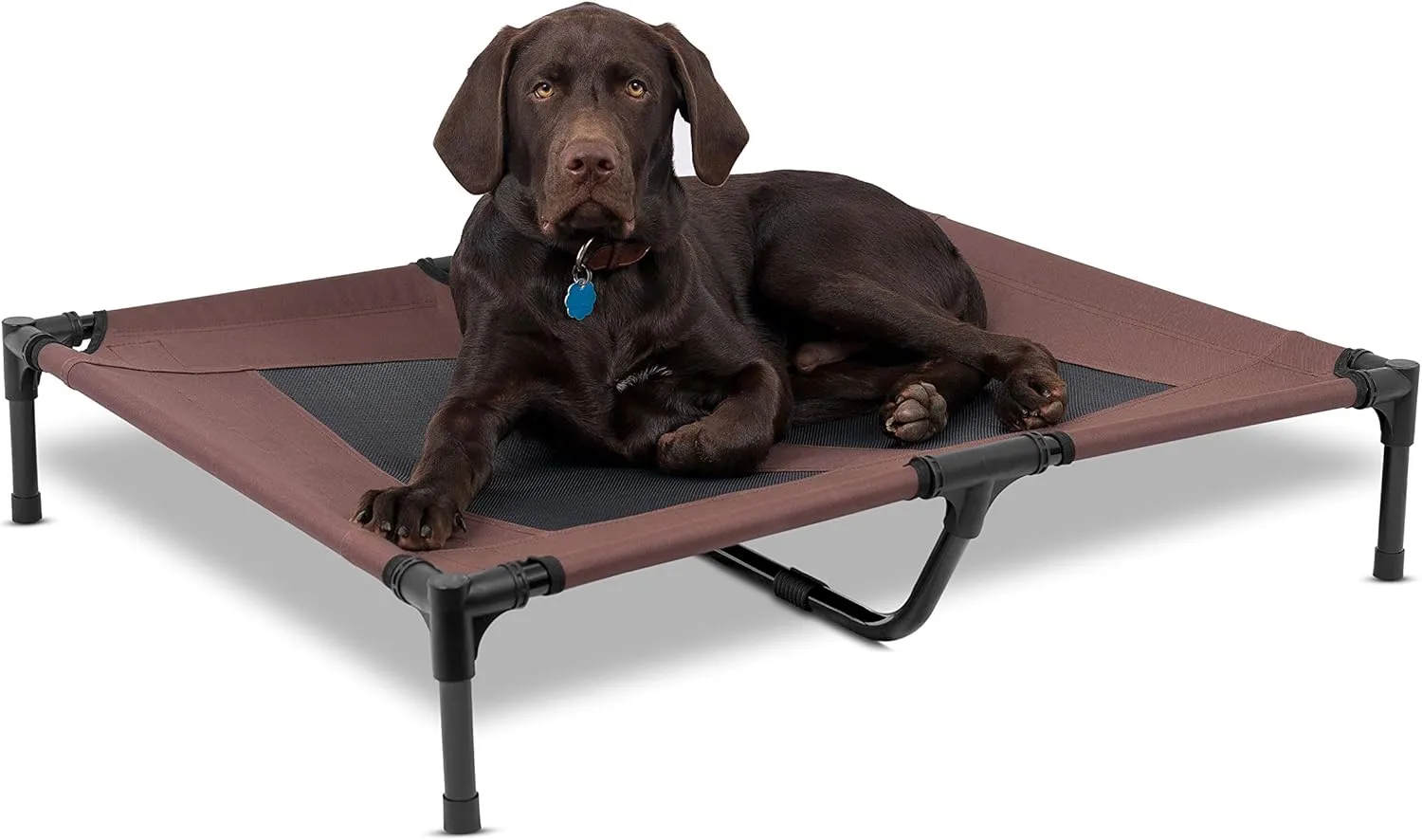 Internet's Best BIRDROCK Home Dog Cot - 36 x 30 - Elevated Dog Bed - Cool Breathable Mesh - Indoor or Outdoor Use - Medium - Brown