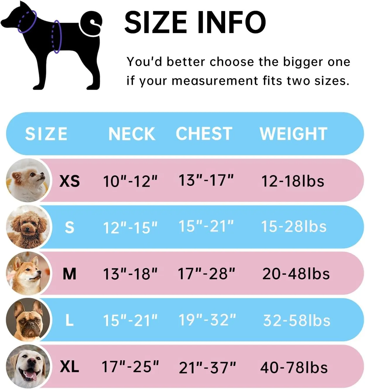 IVY&LANE No Pull Dog Harness for Small Dogs, Dog Vest Harness with Leash, Safety Belt and Storage Strap, Fully Adjustable Harness, 360° Reflective Strip, Soft Handle (Blue, S)