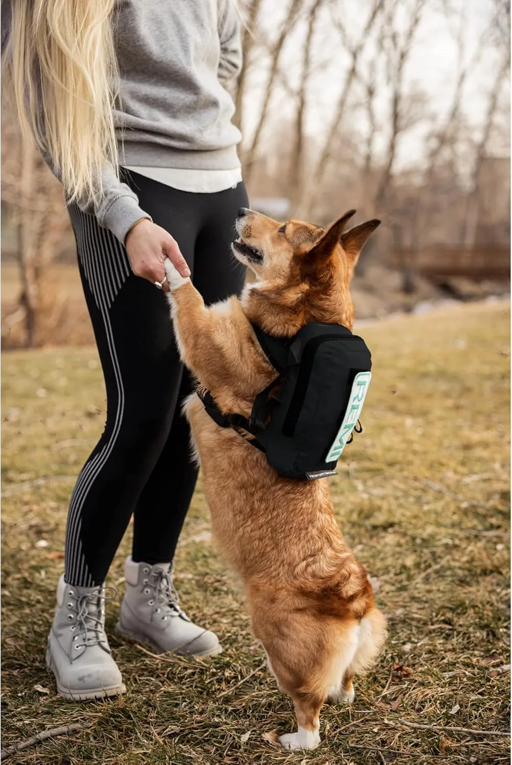 K9 Sport Sack Walk-On | Dog Carrier Dog Backpack with Harness & Storage (Large, Anthracite Black)