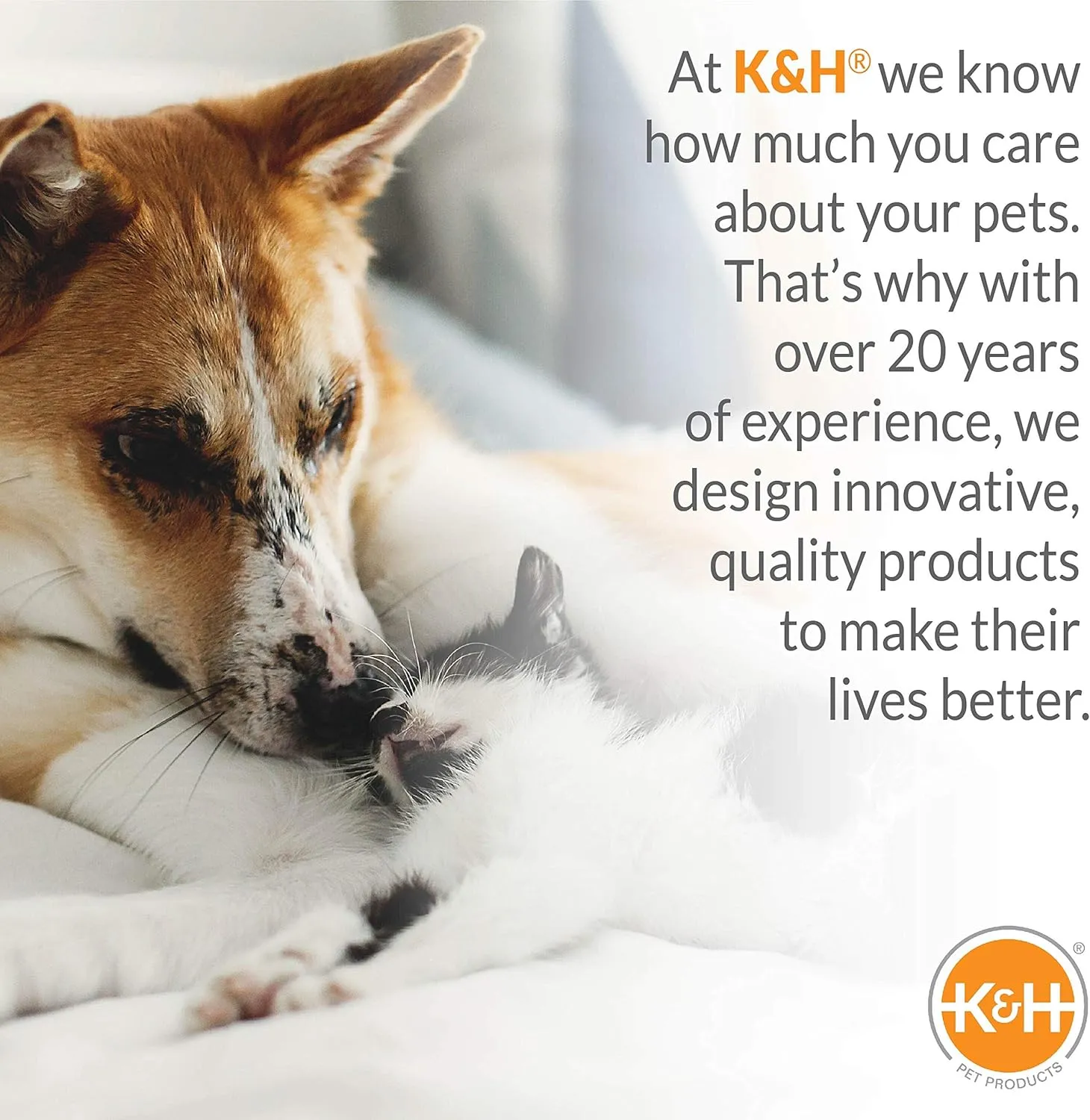 K&H Pet Products Bolster Dog Cot, Cooling Indoor Outdoor Elevated Cot Hammock Dog Bed with Removable Washable Bolsters, Washable Mesh Cover, Raised Metal Frame - Medium 32 X 25in Charcoal