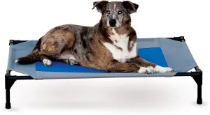 K&H Pet Products Coolin' Pet Cot, Outdoor Cooling Elevated Dog Cot for Large Dogs, Raised Bed with Cool-Core Center, Portable Pet Platform with Heavy-Duty Metal Frame - Large Gray/Blue