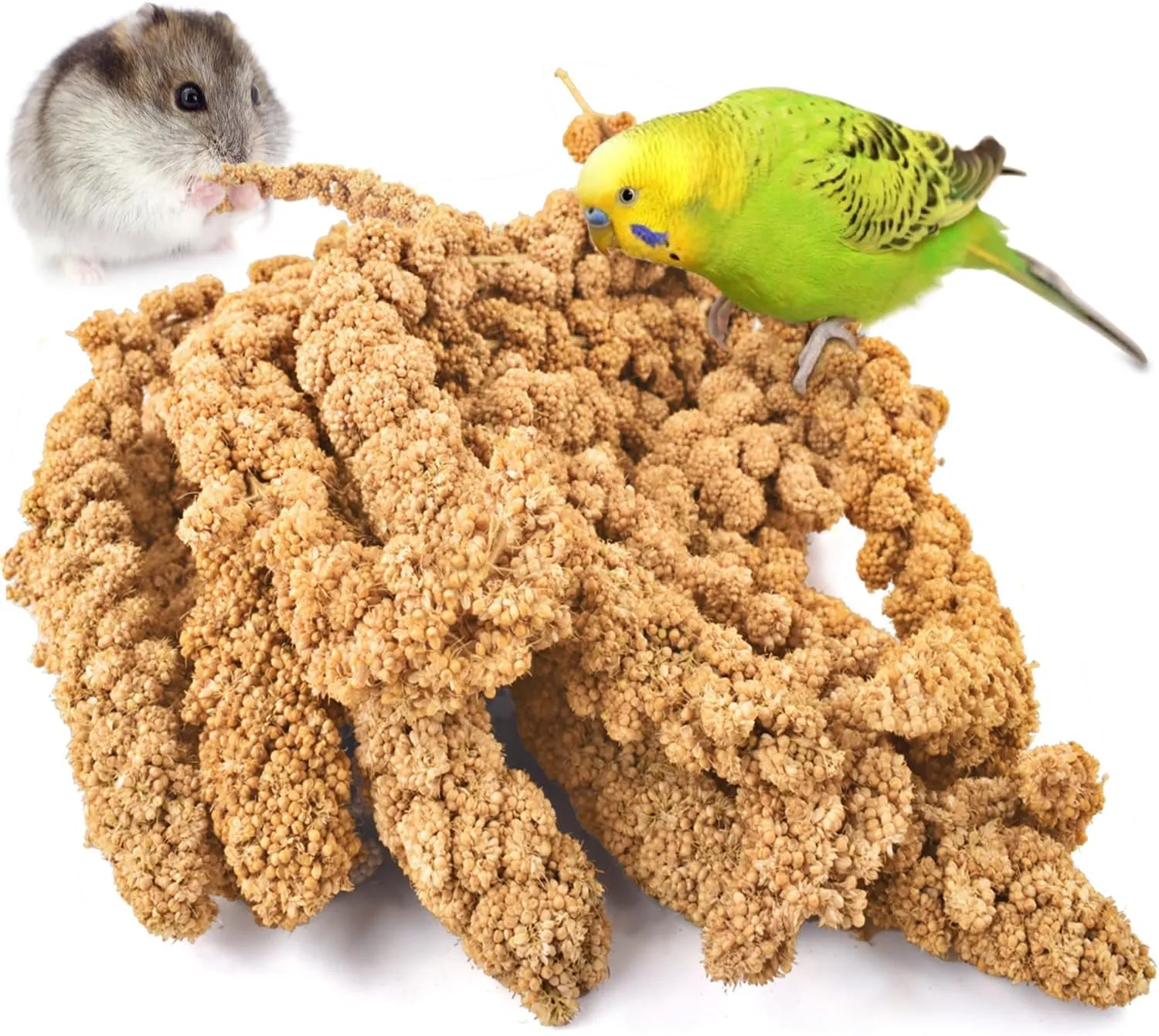 KATUMO Spray Millet Treat for Pet Birds, Natual Sun-Dried Bird Millet Parrot Food for Parakeet Budgie Cockatiel Finches Lovebird Conure Parrots Hamster (1.1LB)