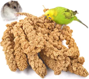 KATUMO Spray Millet Treat for Pet Birds, Natual Sun-Dried Bird Millet Parrot Food for Parakeet Budgie Cockatiel Finches Lovebird Conure Parrots Hamster (1.1LB)