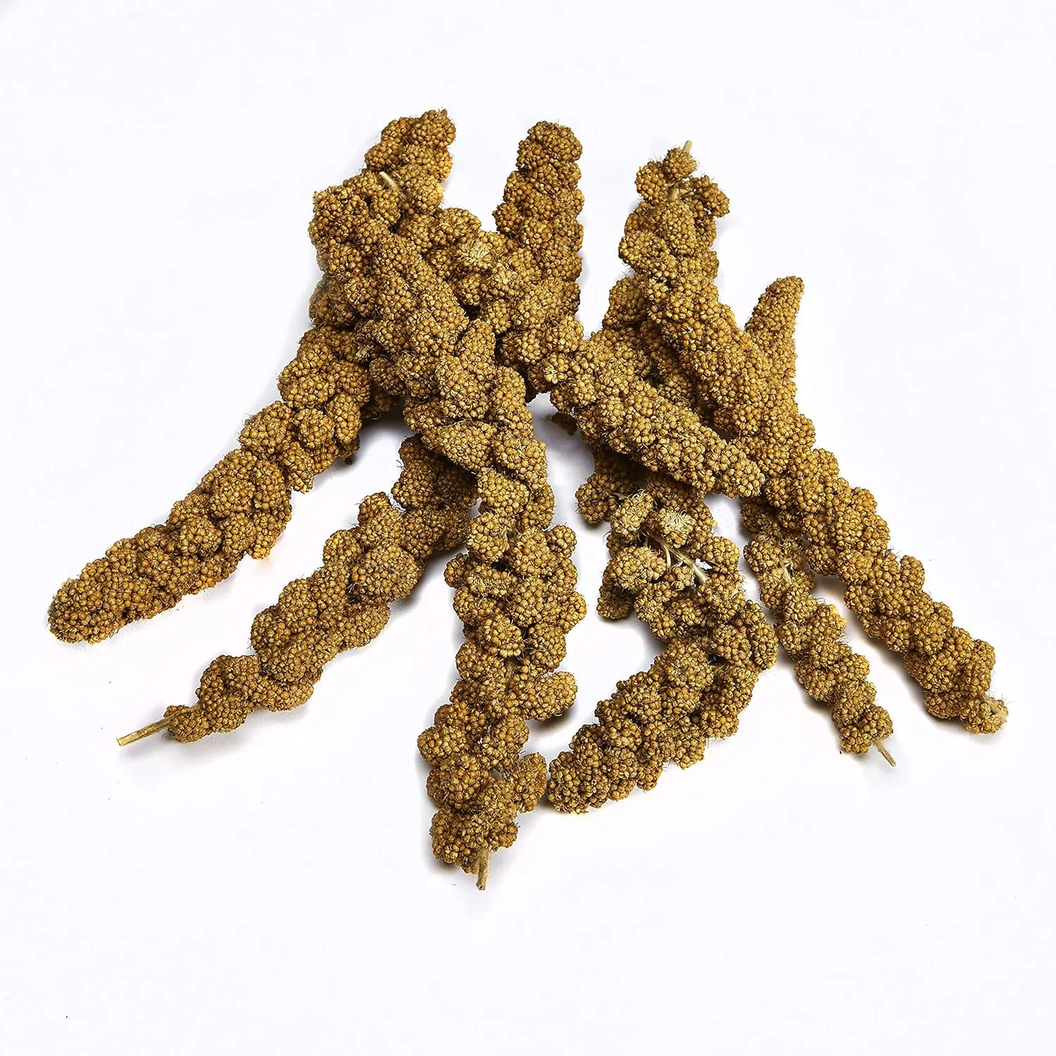 Kaytee Spray Millet Treat for Pet Birds, 7 Ounce