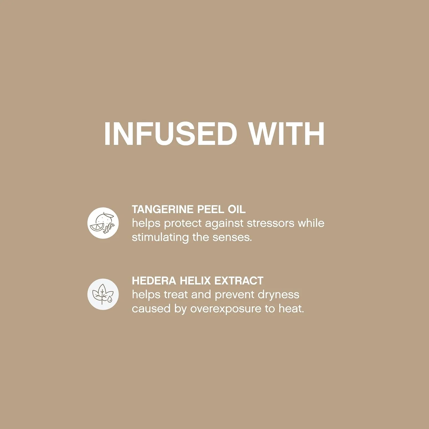 KEVIN.MURPHY SESSION.SPRAY - Strong Hold Finishing Hair Spray - For All Hair Types - Long Lasting Hold - Humidity Resistant Hair Care - 337 mL / 11.4 fl oz