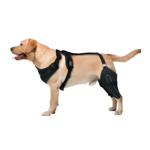 Knee Brace Harness for Dogs -Joint Pain & Mobility Support