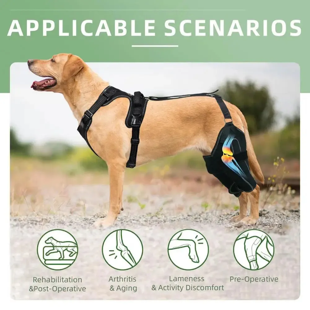 Knee Brace Harness for Dogs -Joint Pain & Mobility Support