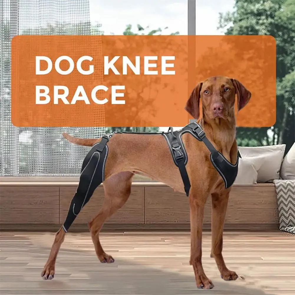 Knee Brace Harness for Dogs -Joint Pain & Mobility Support