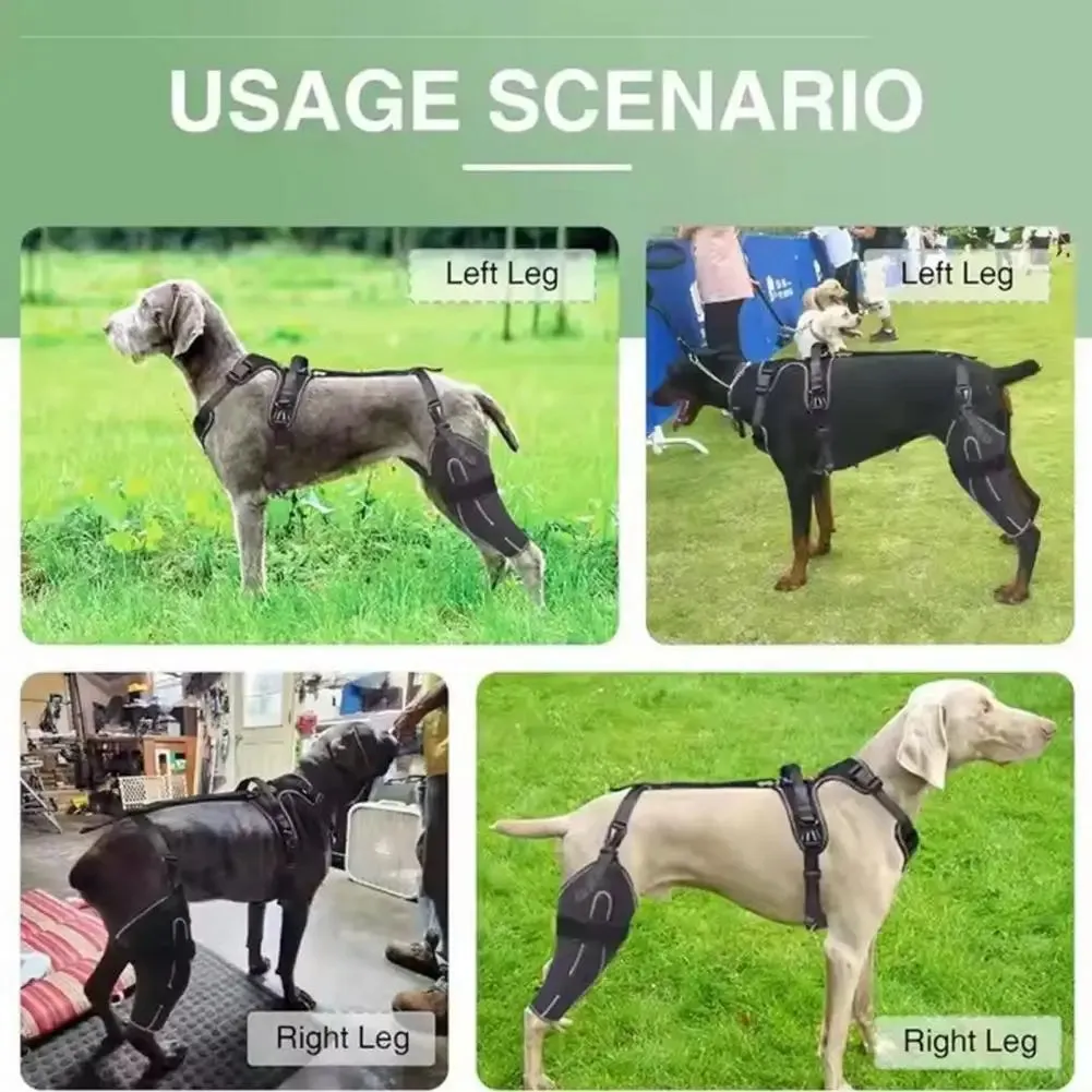 Knee Brace Harness for Dogs -Joint Pain & Mobility Support