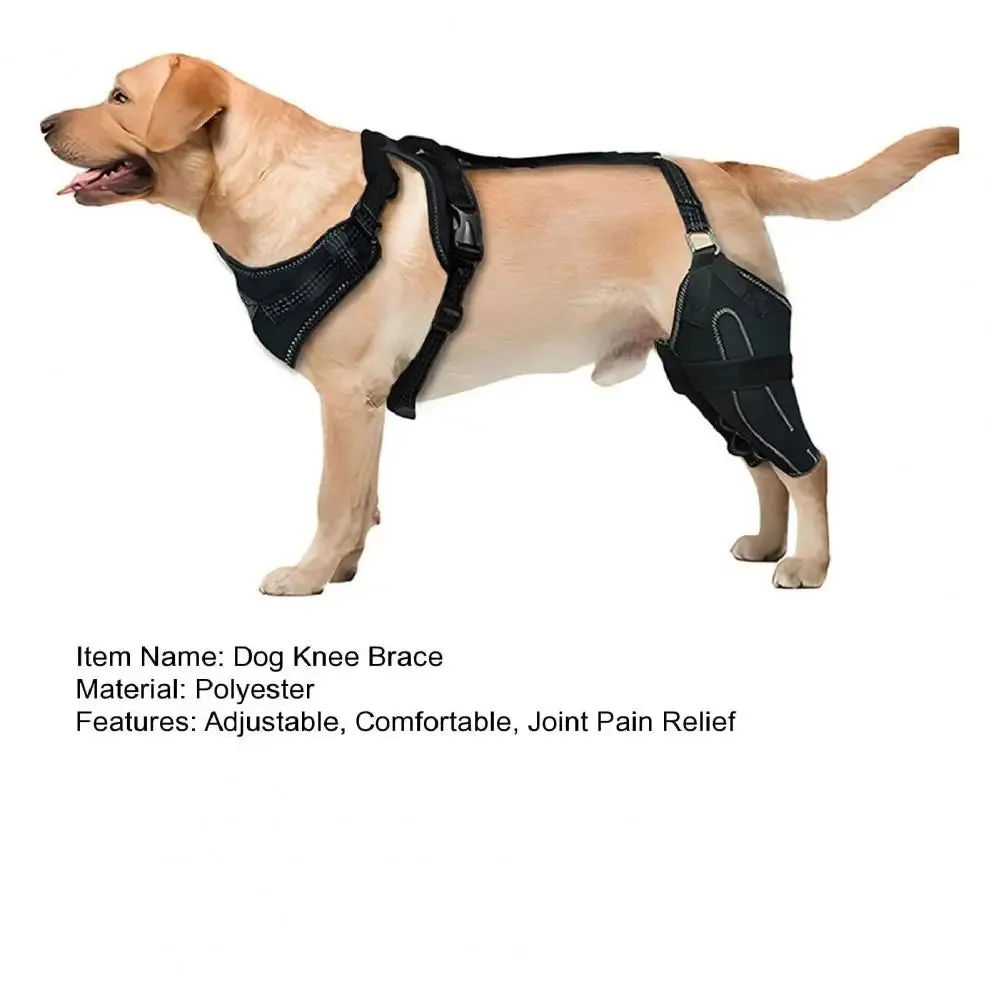 Knee Brace Harness for Dogs -Joint Pain & Mobility Support