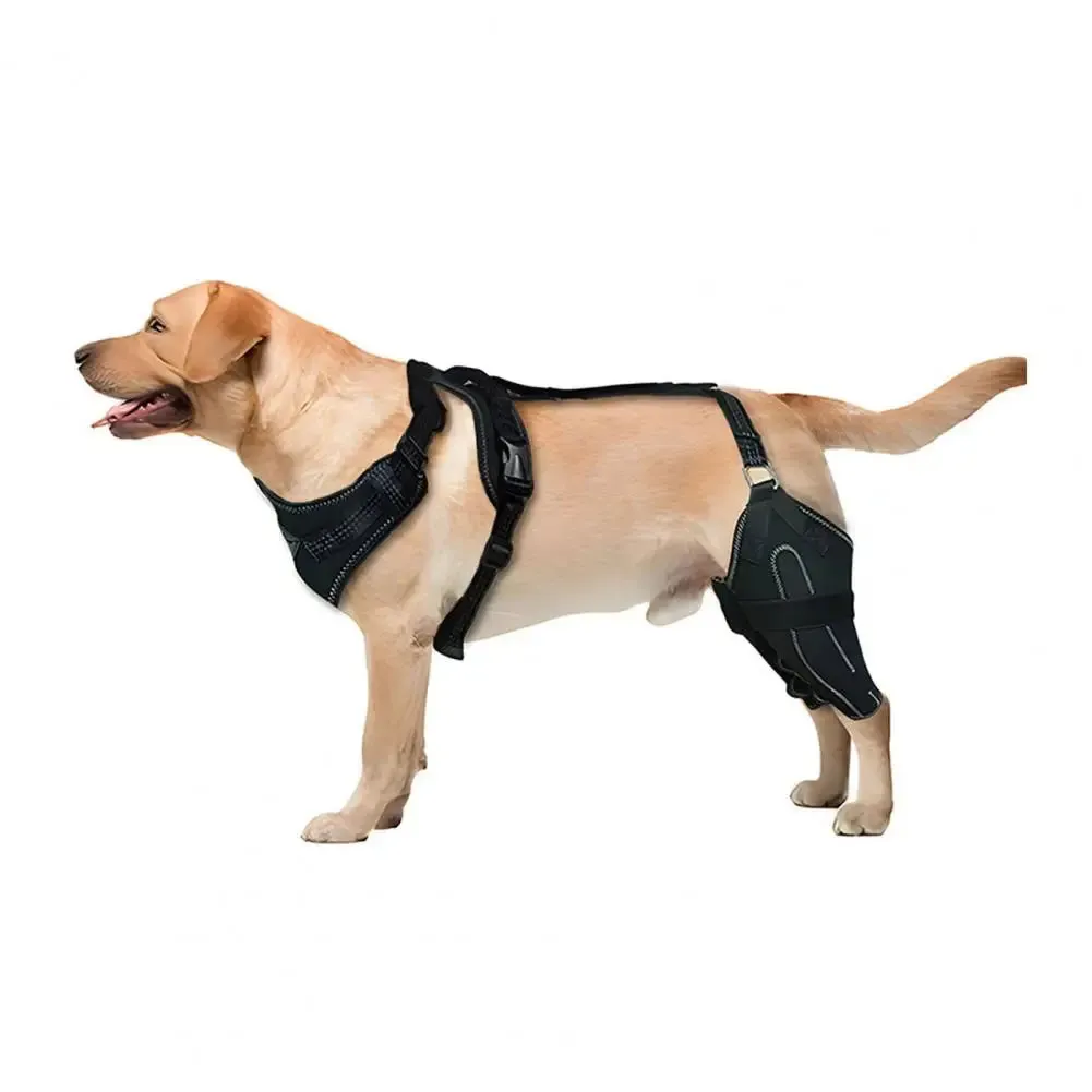 Knee Brace Harness for Dogs -Joint Pain & Mobility Support