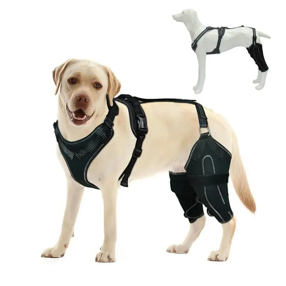 Knee Brace Harness for Dogs -Joint Pain & Mobility Support