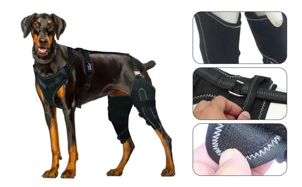 Knee Brace Harness for Dogs -Joint Pain & Mobility Support