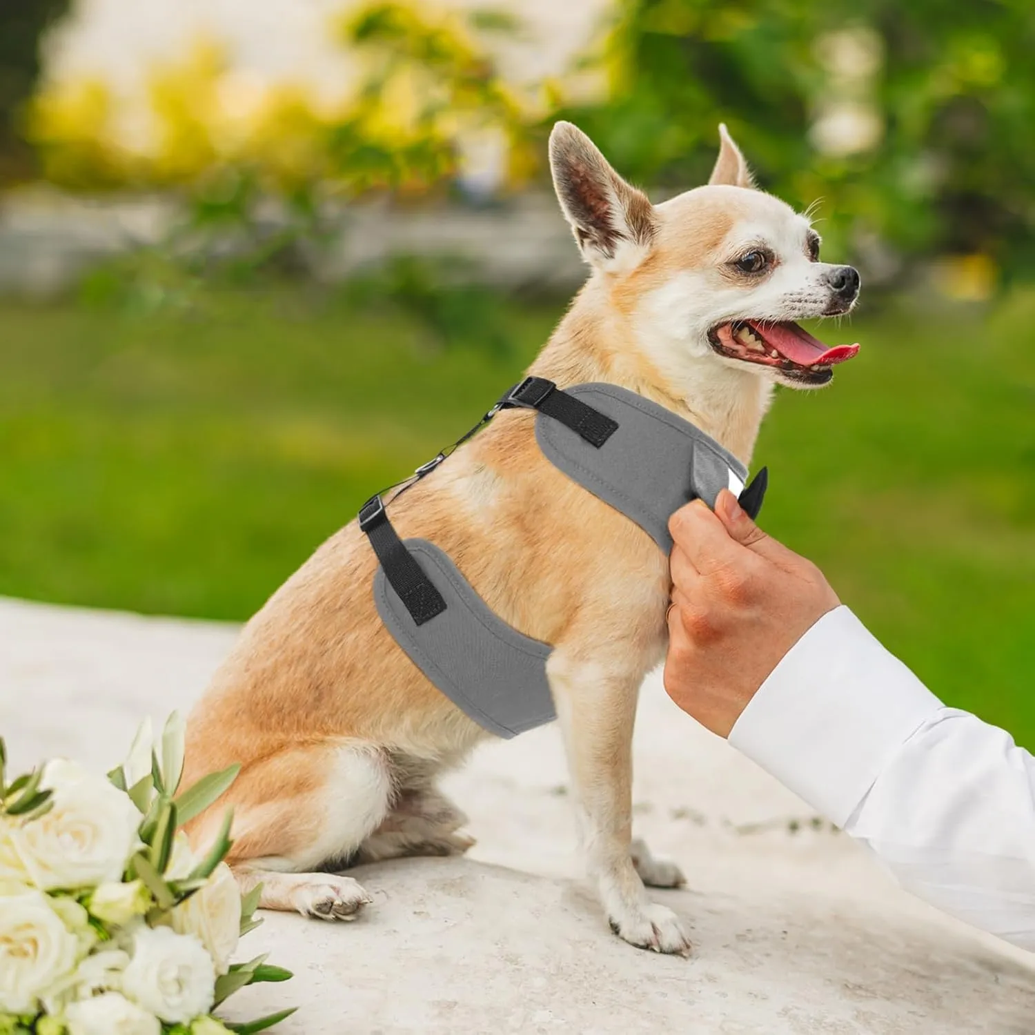 Kuoser Tuxedo Dog Harness, Adjustable No Pull for Small Medium Dogs, Wedding Suit with Bow Tie Party Costume, Gray M