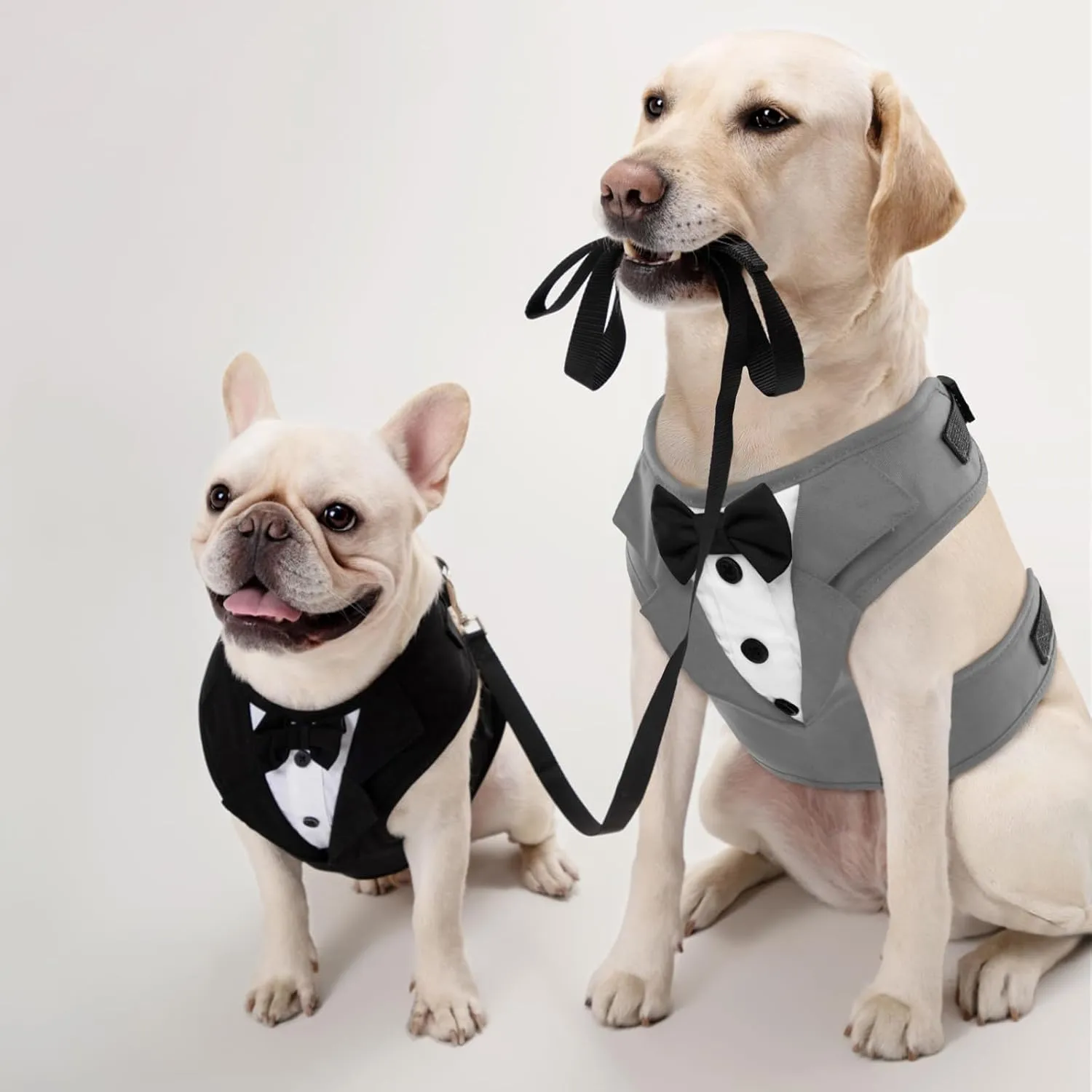 Kuoser Tuxedo Dog Harness, Adjustable No Pull for Small Medium Dogs, Wedding Suit with Bow Tie Party Costume, Gray M