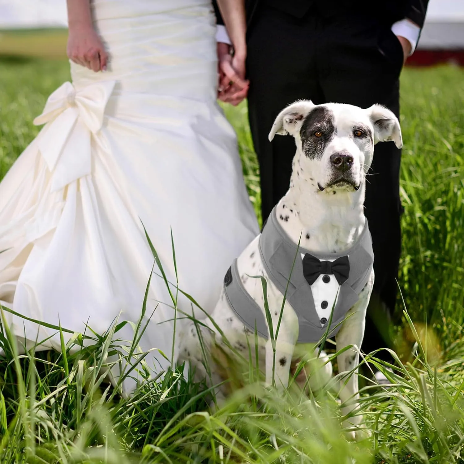 Kuoser Tuxedo Dog Harness, Adjustable No Pull for Small Medium Dogs, Wedding Suit with Bow Tie Party Costume, Gray M