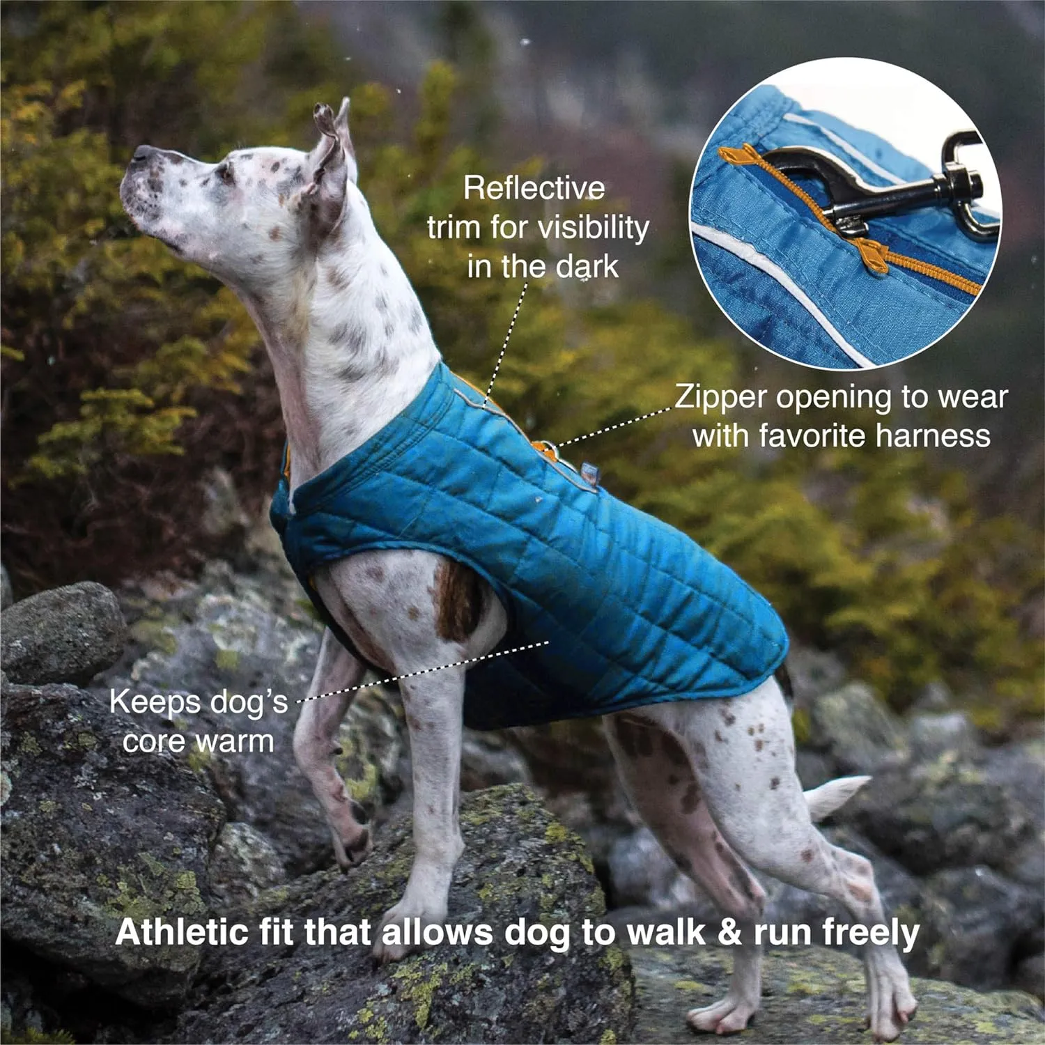 Kurgo Loft Dog Jacket, Reversible Winter Coat for Dogs, Wear with Harness or Sweater, Water Resistant, Reflective, for Small Medium Large Pets (Deep Violet, L)