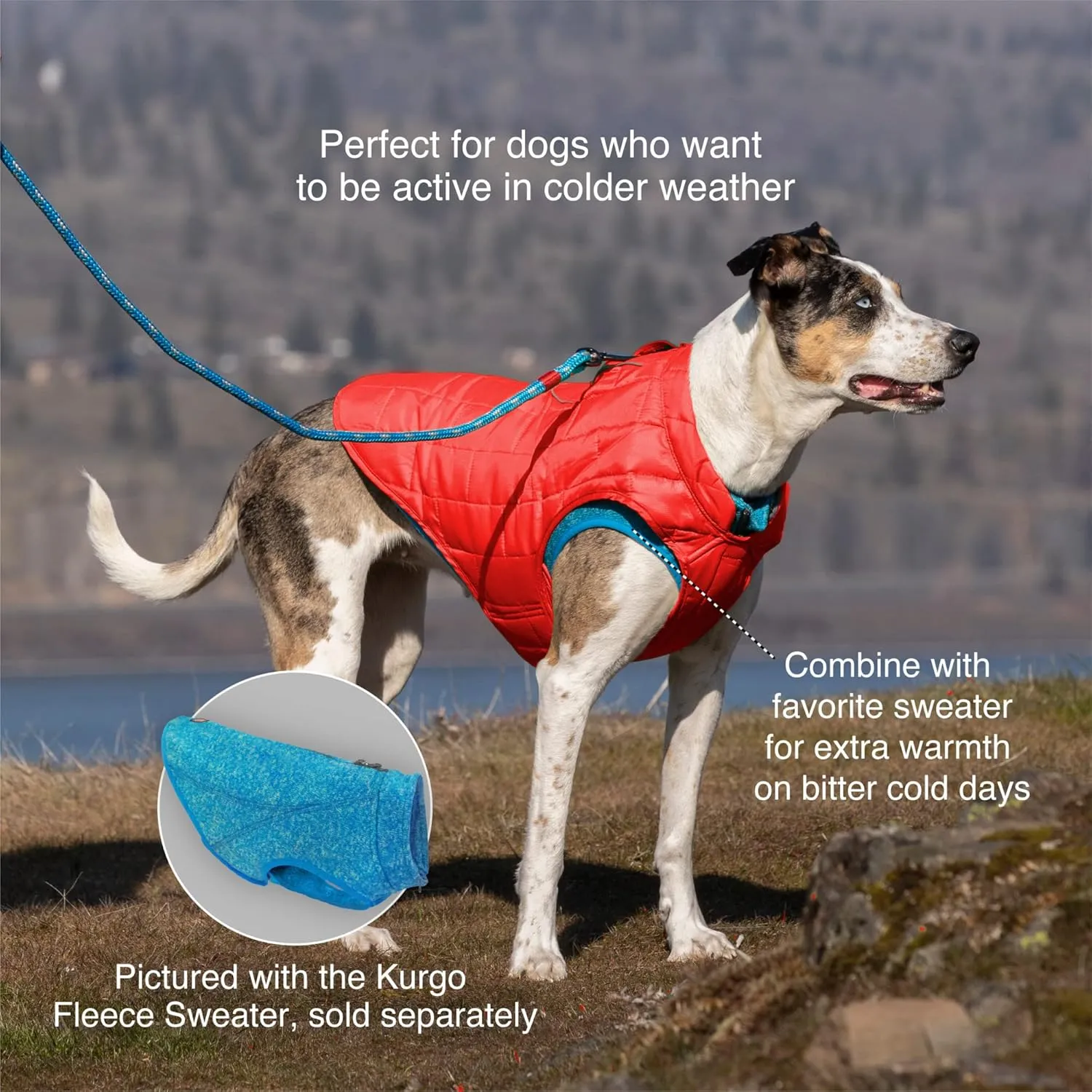 Kurgo Loft Dog Jacket, Reversible Winter Coat for Dogs, Wear with Harness or Sweater, Water Resistant, Reflective, for Small Medium Large Pets (Deep Violet, L)