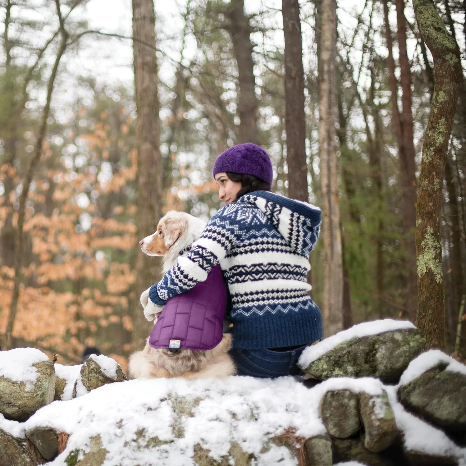 Kurgo Loft Dog Jacket, Reversible Winter Coat for Dogs, Wear with Harness or Sweater, Water Resistant, Reflective, for Small Medium Large Pets (Deep Violet, L)