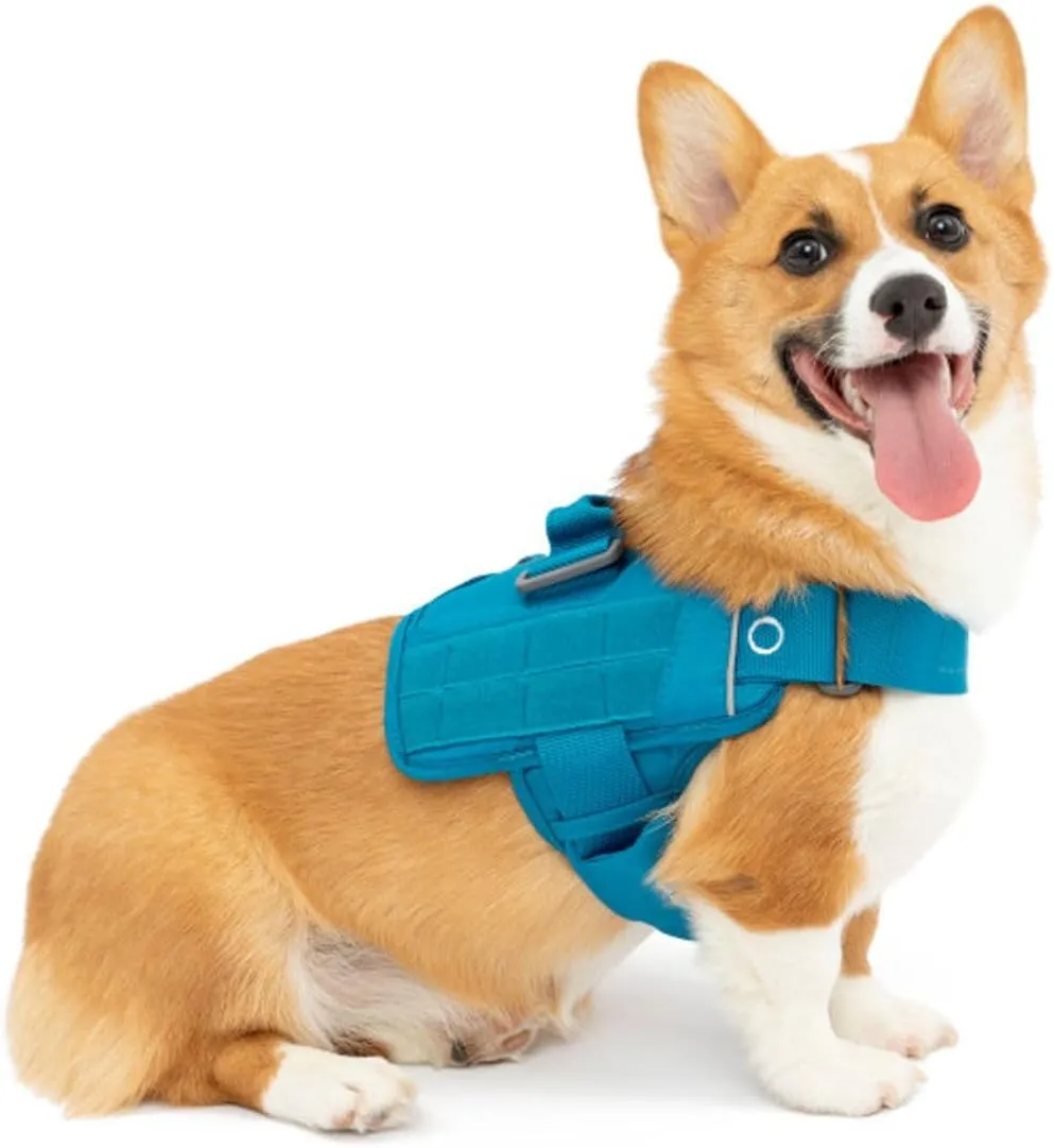 Kurgo Molle Clip Compatible Dog Harness, Molle Vest for Dogs, Service Dog Training Vest, Service Dog Molle Vest, Rsg Townie Dog Harness, for Small, Medium & Large Dogs (Small, Coastal Blue)