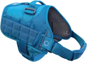 Kurgo Molle Clip Compatible Dog Harness, Molle Vest for Dogs, Service Dog Training Vest, Service Dog Molle Vest, Rsg Townie Dog Harness, for Small, Medium & Large Dogs (Small, Coastal Blue)