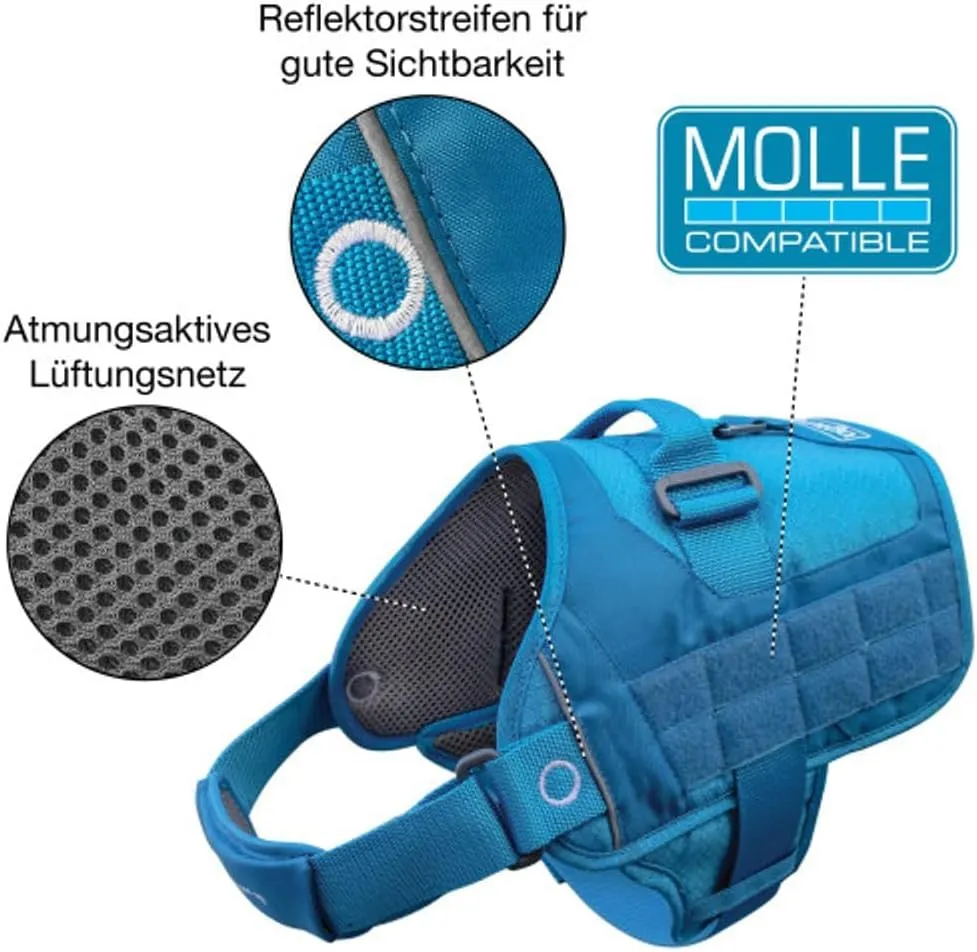 Kurgo Molle Clip Compatible Dog Harness, Molle Vest for Dogs, Service Dog Training Vest, Service Dog Molle Vest, Rsg Townie Dog Harness, for Small, Medium & Large Dogs (Small, Coastal Blue)