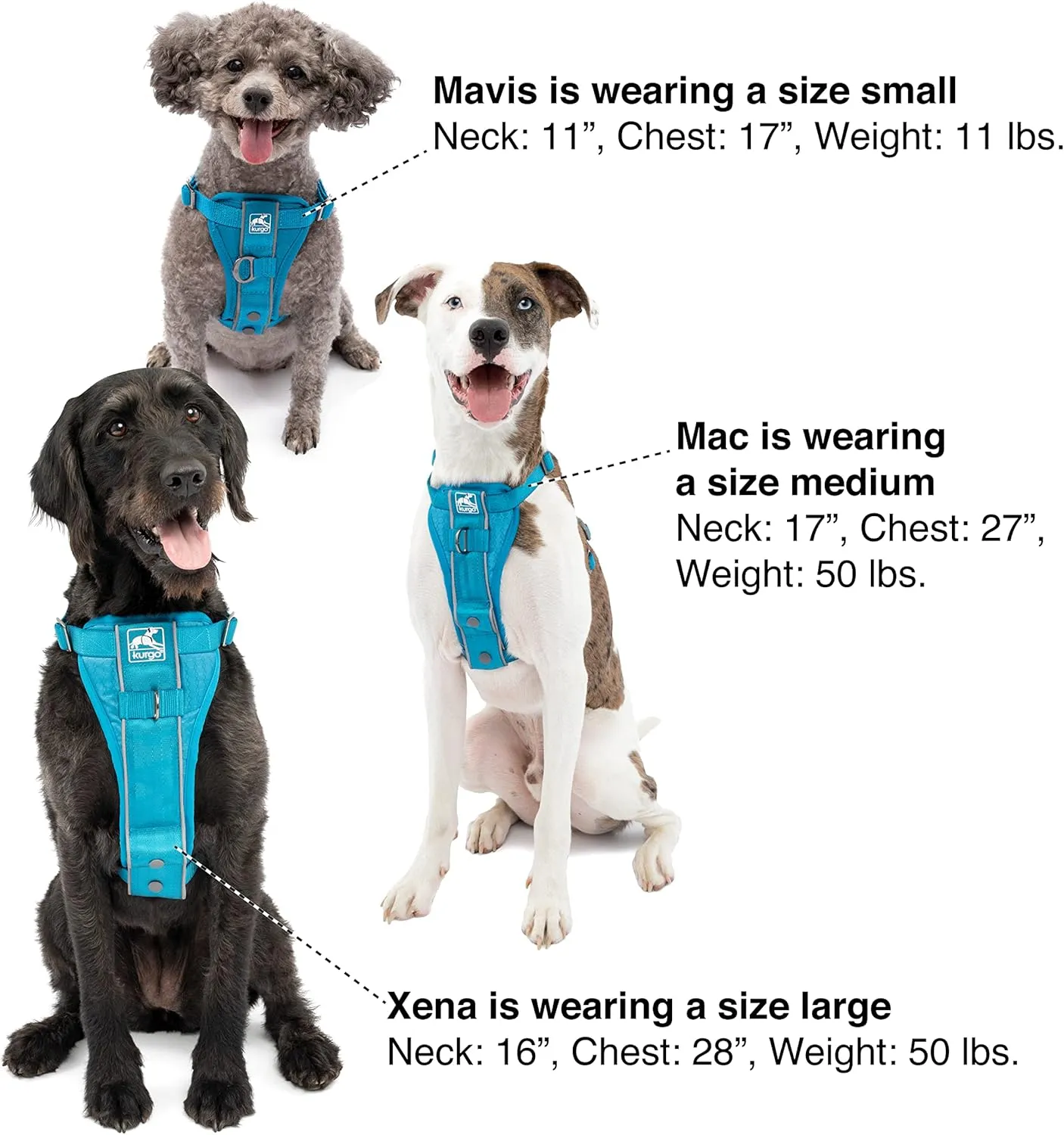 Kurgo Tru-Fit Smart Harness, Dog Harness, Pet Walking Harness, Quick Release Buckles, Front D-Ring for No Pull Training, Includes Dog Seat Belt Tether (Blue, Small)