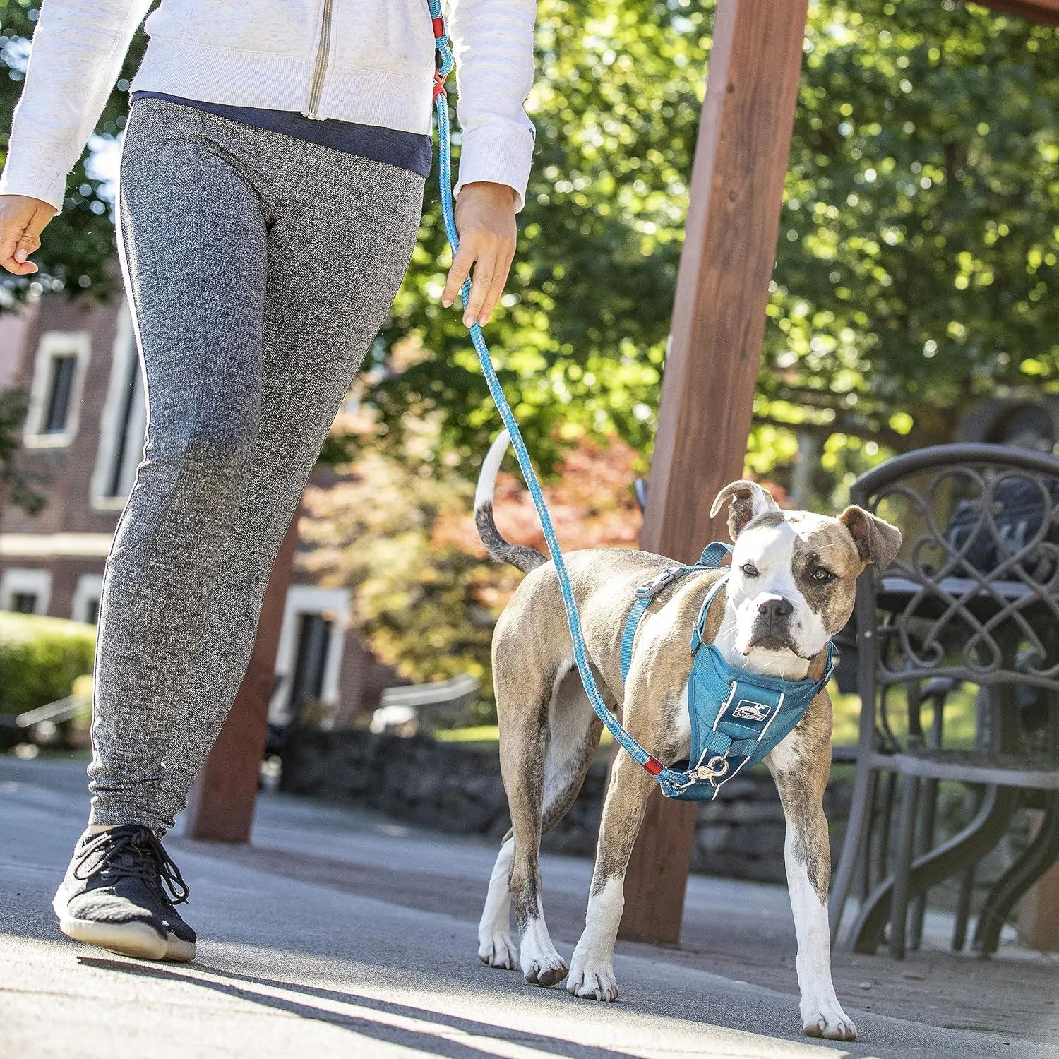 Kurgo Tru-Fit Smart Harness, Dog Harness, Pet Walking Harness, Quick Release Buckles, Front D-Ring for No Pull Training, Includes Dog Seat Belt Tether (Blue, Small)