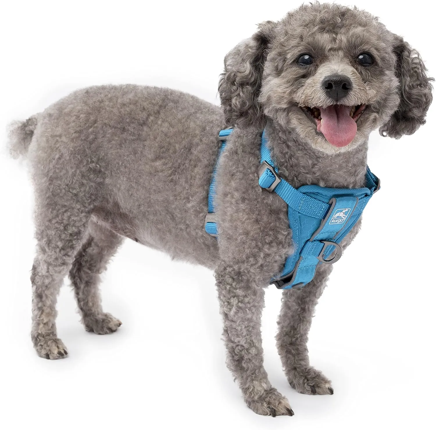 Kurgo Tru-Fit Smart Harness, Dog Harness, Pet Walking Harness, Quick Release Buckles, Front D-Ring for No Pull Training, Includes Dog Seat Belt Tether (Blue, Small)