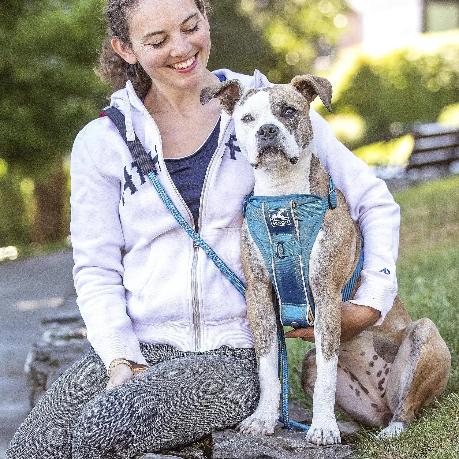 Kurgo Tru-Fit Smart Harness, Dog Harness, Pet Walking Harness, Quick Release Buckles, Front D-Ring for No Pull Training, Includes Dog Seat Belt Tether (Blue, Small)