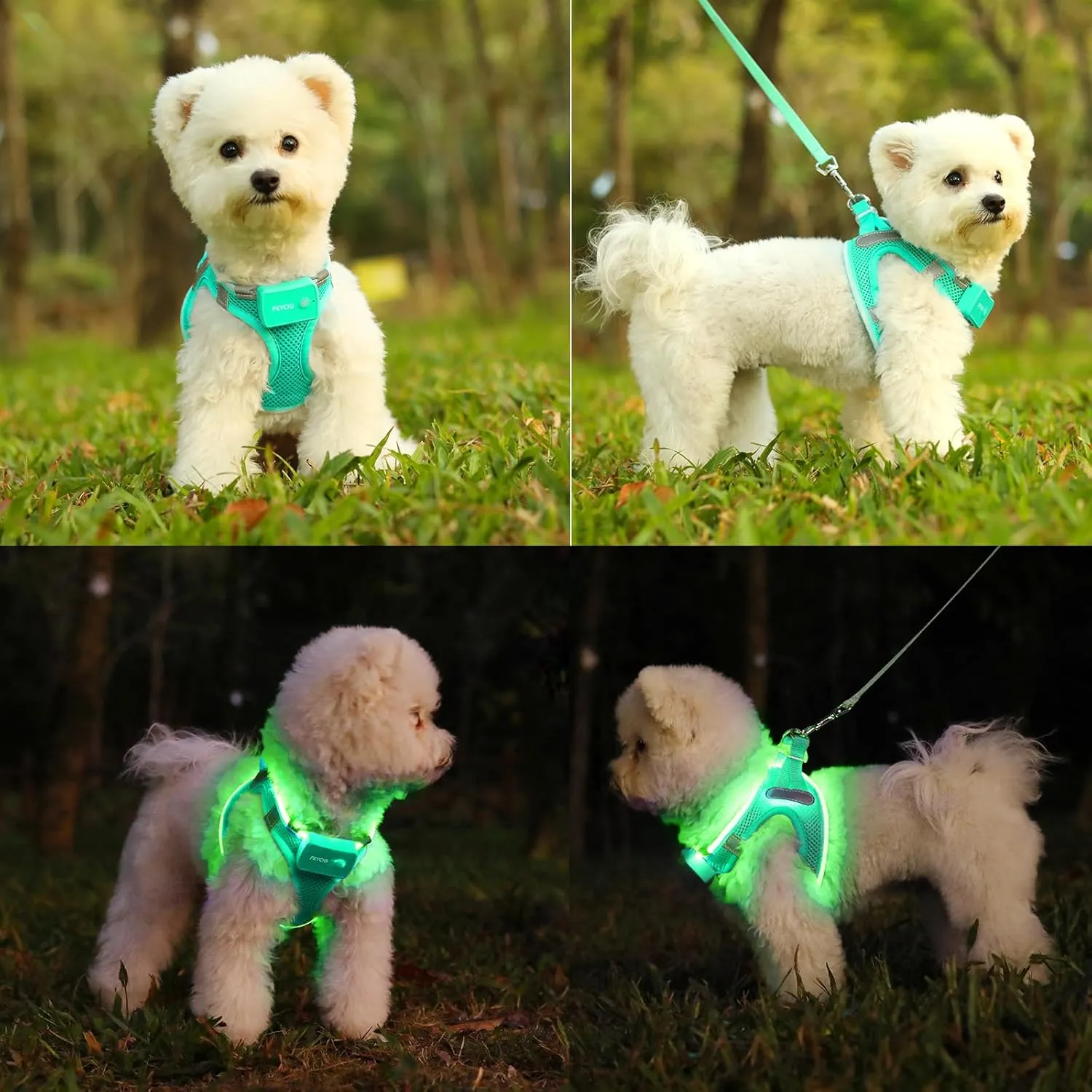 Light Up Dog Harness,Rechargeable LED Dog Harness for Small Medium Large Dogs,Reflective Lighted Safety Vest for Night Walking & Camping,Lightweight & Adjustable,Light Green,S
