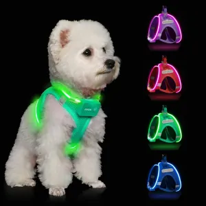 Light Up Dog Harness,Rechargeable LED Dog Harness for Small Medium Large Dogs,Reflective Lighted Safety Vest for Night Walking & Camping,Lightweight & Adjustable,Light Green,S