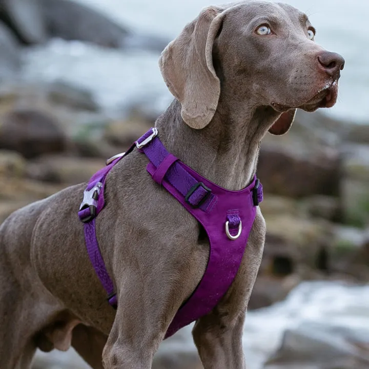 Lightweight Harness Purple XS For Dogs
