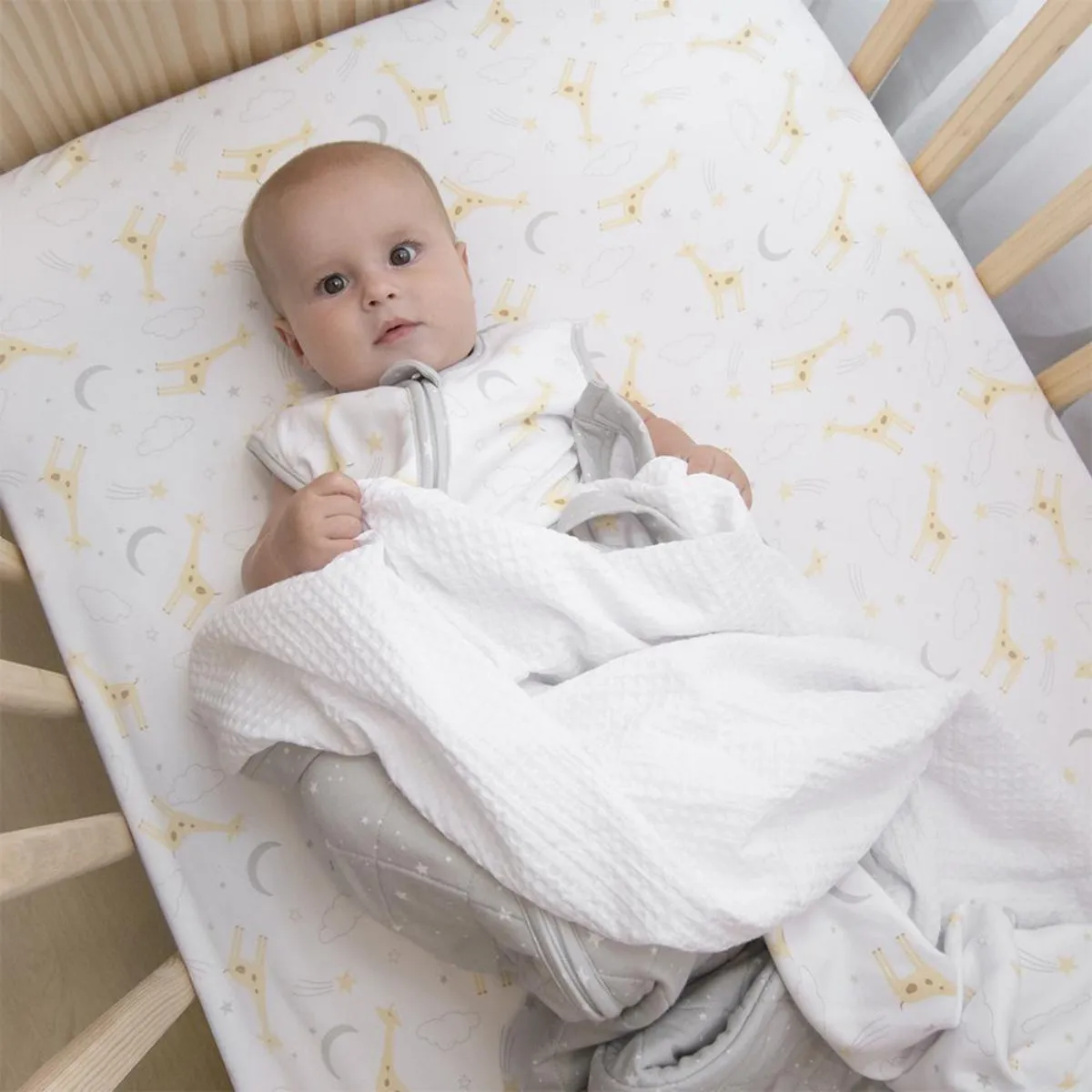 Living Textiles Cot Fitted Sheet Jersey - 2 Pack