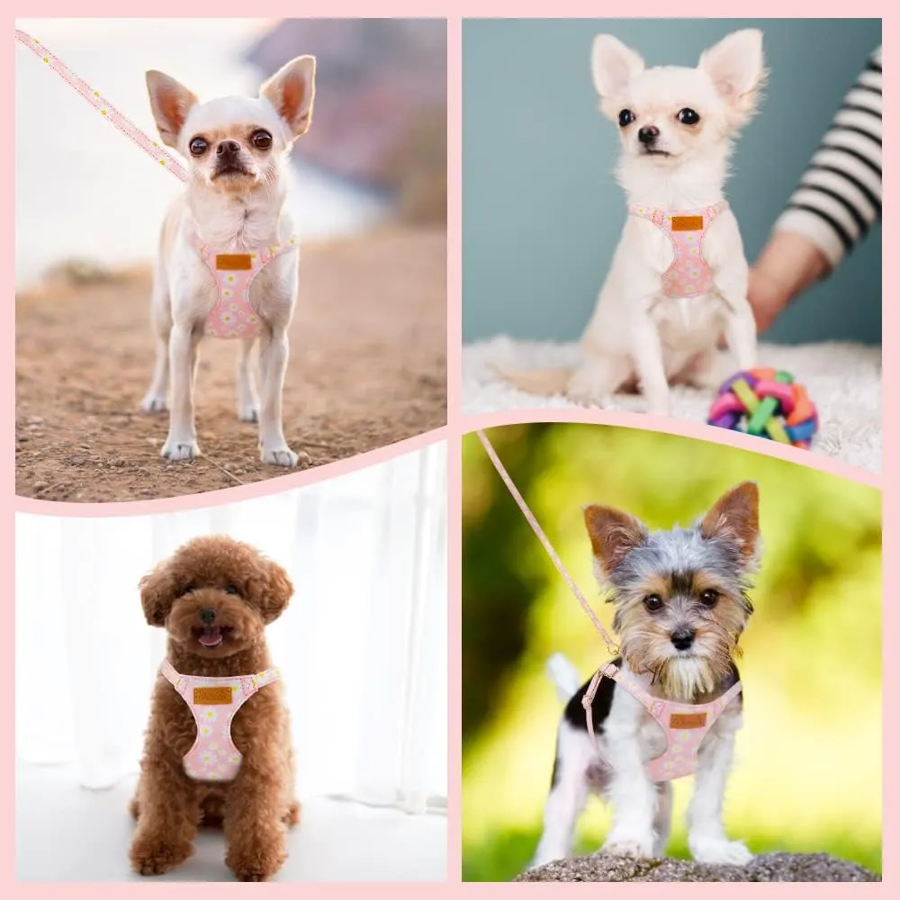 Lukovee Puppy Harness and Leash Set, No Pull Adjustable Lightweight Soft Suede Pet Harness Vest with Snap Buckle for Puppy Small and Medium Size Dog (Pink-S)