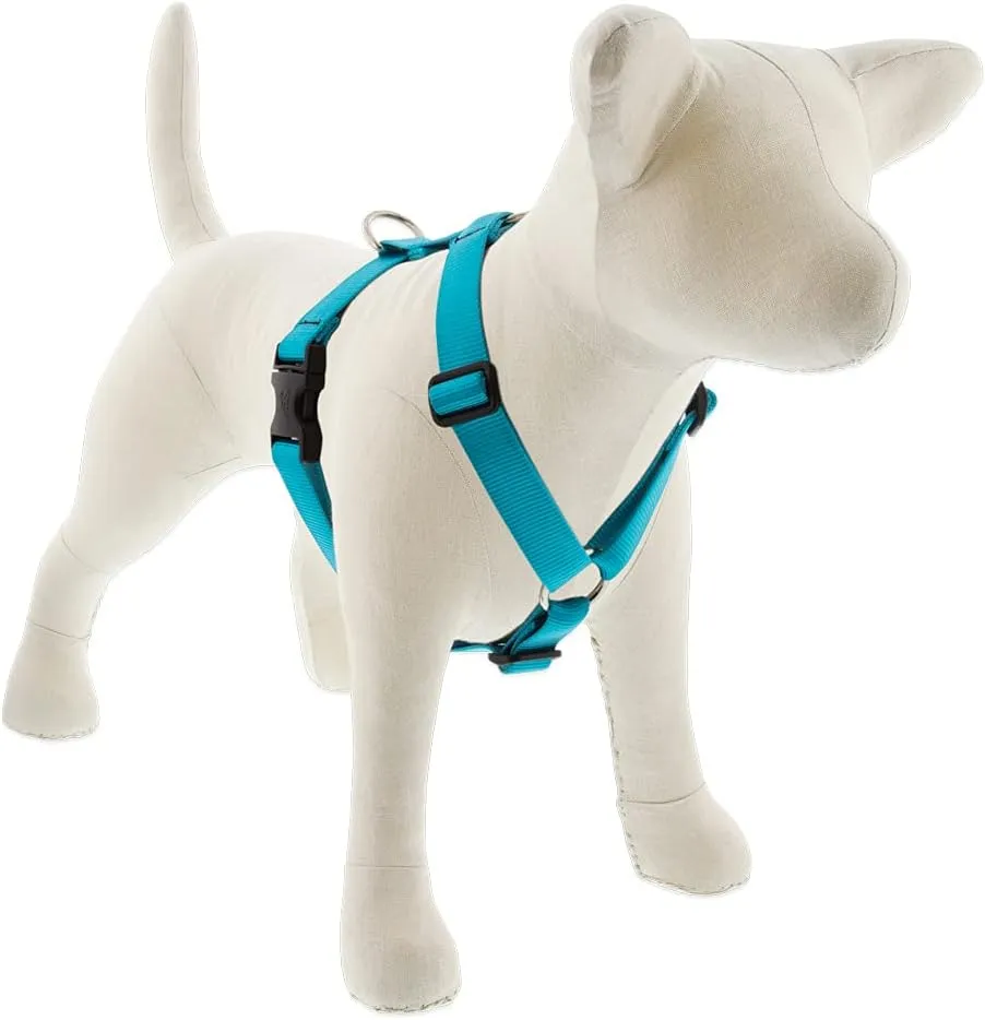 Lupine Adjustable Harness 1" Wide Aqua with 24" to 38" Adjustable Girth