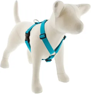 Lupine Adjustable Harness 1" Wide Aqua with 24" to 38" Adjustable Girth