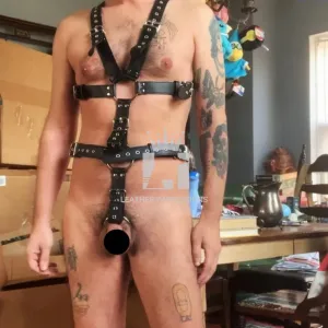 Mens Leather Chest Harness with Cockring Combo