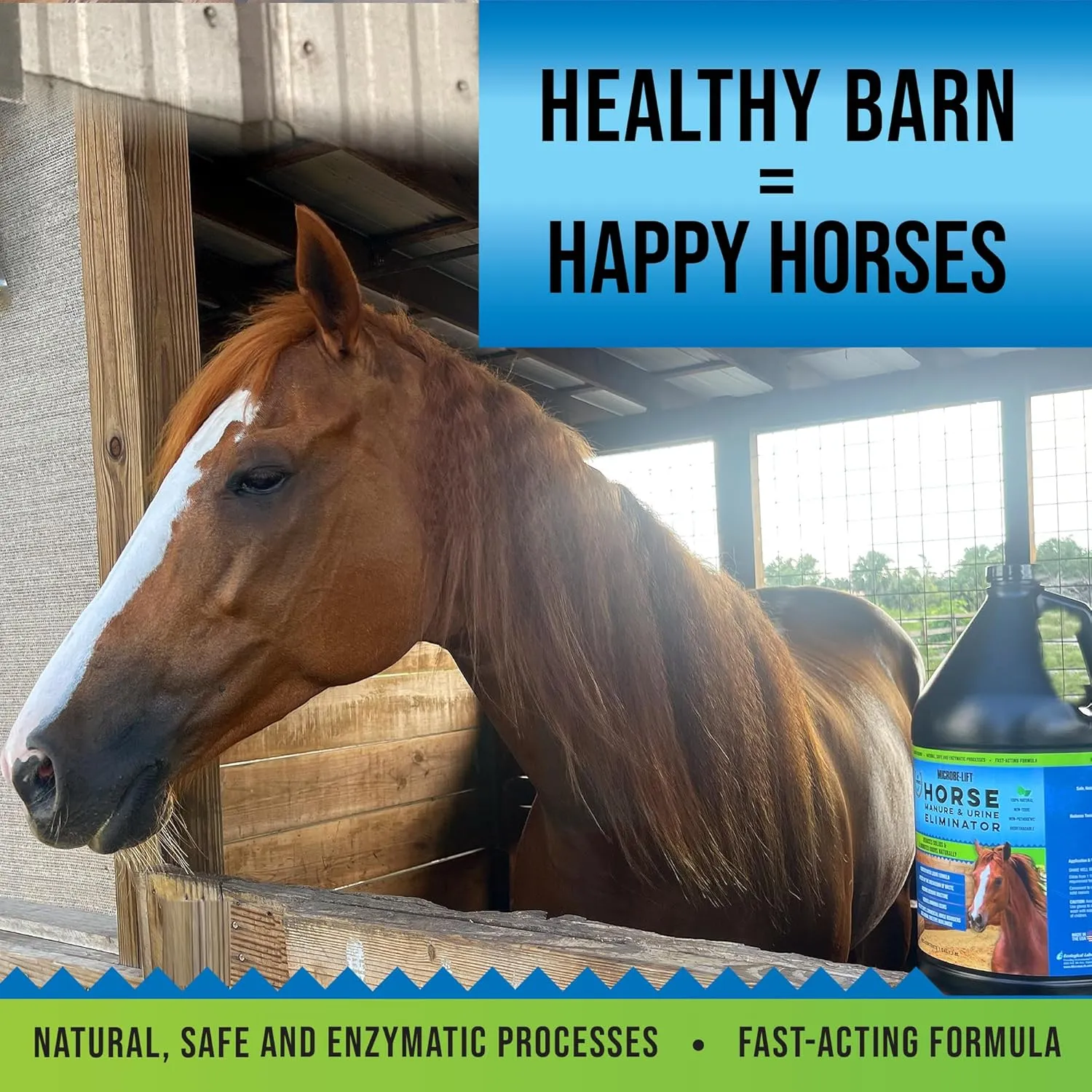 MICROBE-LIFT Horse Manure & Urine Eliminator for Use in Stables and Barns, Use on All Surfaces and Supplies, Ammonia Reducer, Highly Concentrated Formula, 1 Gallon
