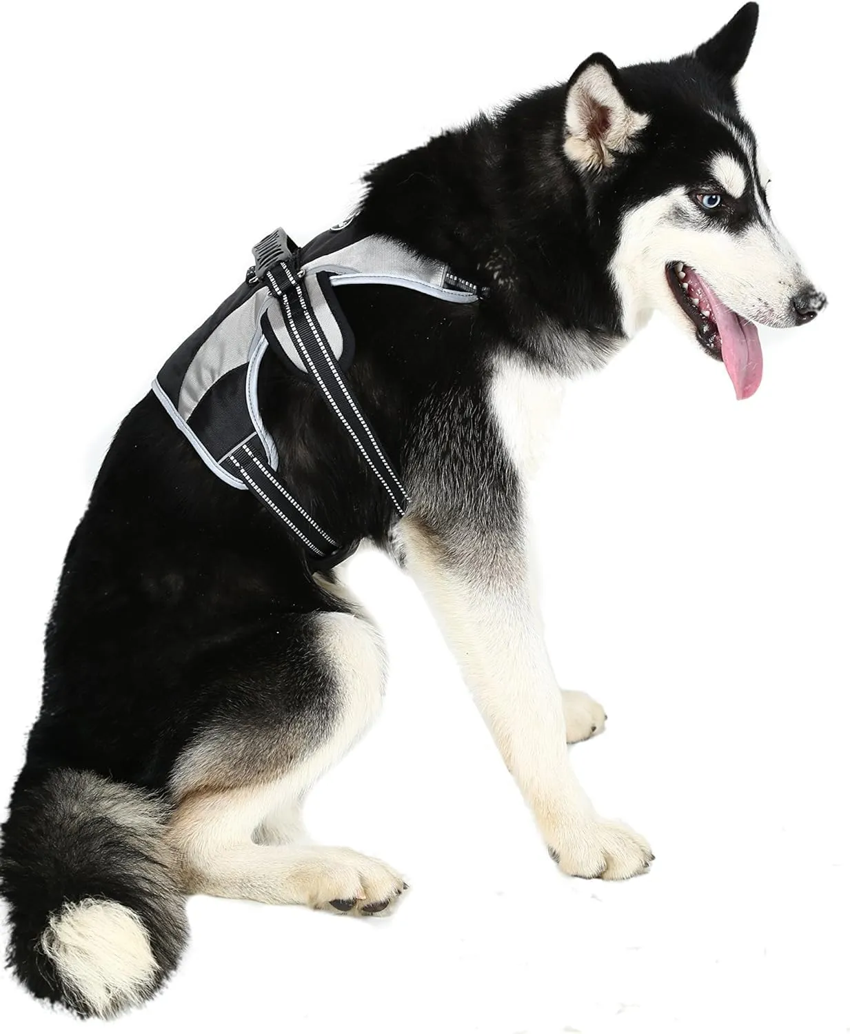 Mihachi Escape Proof Dog Harness - No Pull Reflective Dogs Harness Vest with Lift Handle, Adjustable Soft Padded No Slip Pet Harness Training Easy Control for Medium Large Dogs