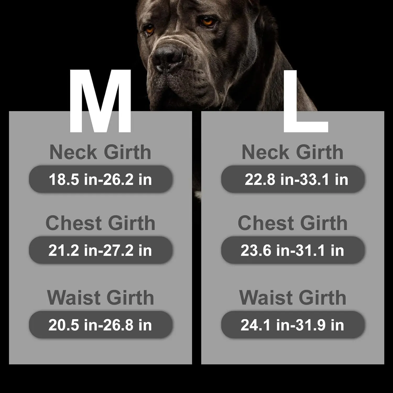 Mihachi Escape Proof Dog Harness - No Pull Reflective Dogs Harness Vest with Lift Handle, Adjustable Soft Padded No Slip Pet Harness Training Easy Control for Medium Large Dogs