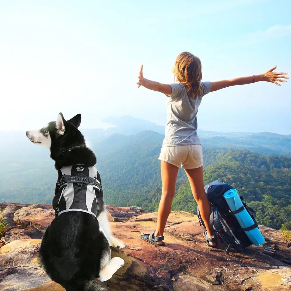 Mihachi Escape Proof Dog Harness - No Pull Reflective Dogs Harness Vest with Lift Handle, Adjustable Soft Padded No Slip Pet Harness Training Easy Control for Medium Large Dogs