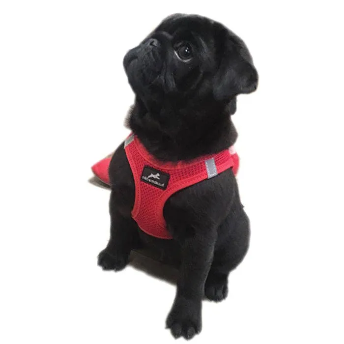 Miro & Makauri 7 Colours Step-IN Air Mesh Vest Dog Harness