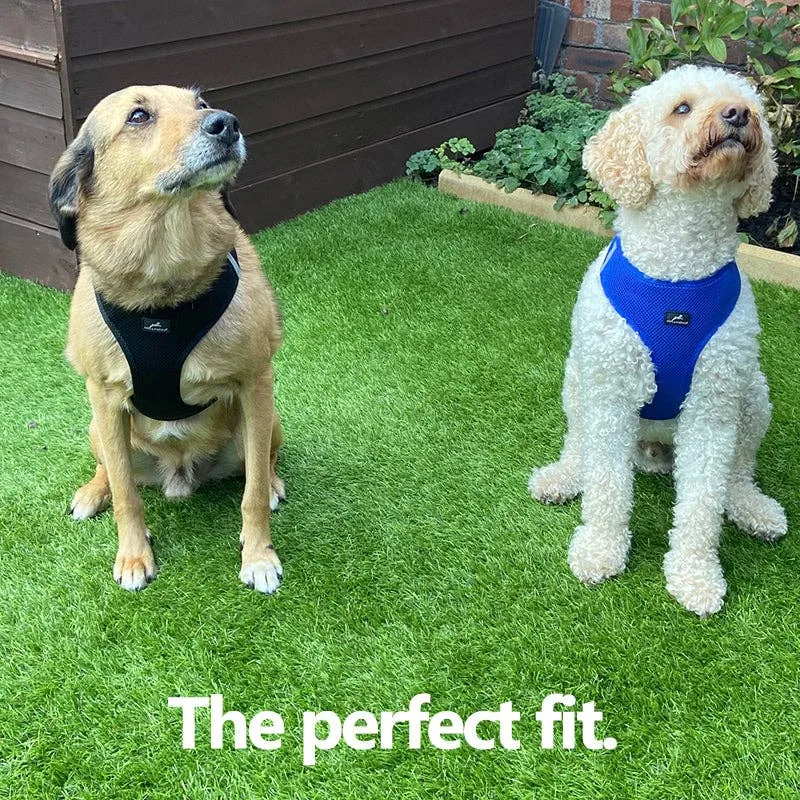 Miro & Makauri 7 Colours Step-IN Air Mesh Vest Dog Harness