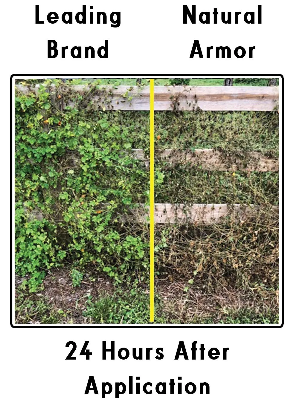 Natural Armor Weed and Grass Killer All-Natural Concentrated Formula. Contains No Glyphosate (128 OZ. Gallon Refill)
