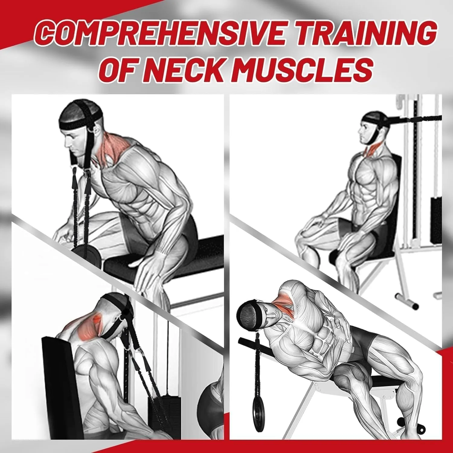 Neck Harness for Increases Neck Core Strength - Neck Exerciser with 30" Heavy Duty Steel Chain for Safely Lifting Weights Up to 280 lbs, Adjustable Head with Nylon Tether and 2 Carabiners