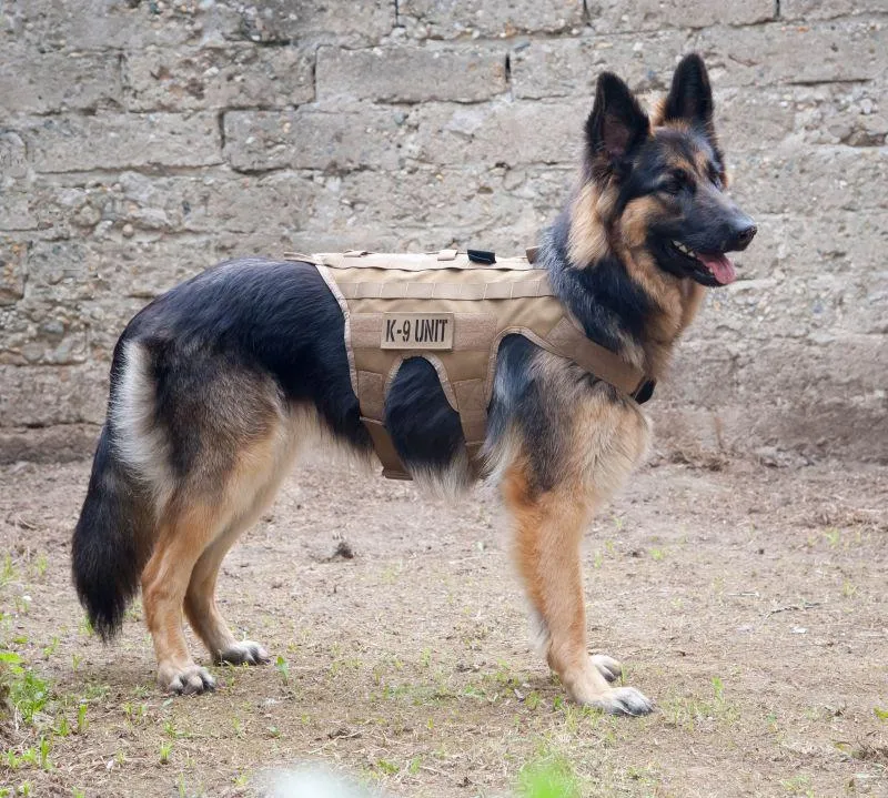 NFGE-132 K9 Lightweight Harness